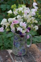 Jug of cut Sweet Peas - Lathyrus odoratus 'Kings High Scent' and 'Beth Chatto' with Alchemilla Mollis at Gowan Cottage, Suffolk. 26 June