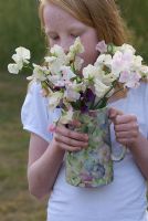 Girl holidng a jug of Sweet Peas - Lathyrus odoratus 'Kings High Scent' and 'Beth Chatto' at Gowan Cottage, Suffolk. 26 June