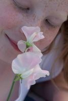 Young girl smelling a Sweet Pea - Lathyrus odoratus  'Beth Chatto'  at Gowan Cottage, Suffolk. 26 June