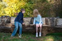 Children sitting on seats carved in a fallen tree trunk at Chippenham Park in Cambs in October on an NGS open day