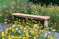 Wooden bench in wild flower garden - 'A Stitch in Time Saves Nine' - RHS Tatton Park flower Show 2011