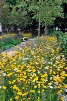 Urban orchard wild flower garden 'A Stitch in Time Saves Nine'. RHS Tatton Park Flower Show 2011