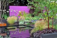 Lush and vibrant planting of Yellow and Gold contrasting with purple wall. 'Save a life, Drop The Knife' Garden. RHS Tatton Park Flower Show 2011