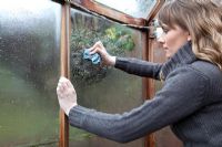 Lady cleaning greenhouse glass