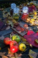 Newly harvested Tomatoes and dried fruit from the garden - The Cottage Smallholder, Suffolk, UK 
