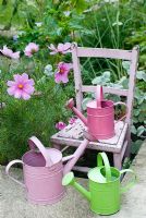 Pink cosmos with childs chair and watering cans