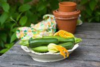 Courgette 'Defender' in dish on wooden table 
