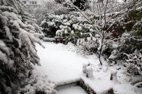 Heavy snow fall in town garden, steps to lawn, mixed shrub small trees in border, Acer in pot and in border, and Buxus - Box evergeen curved hedge
