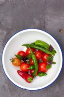 Tomatoes and Chillies in a bowl