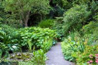 Wooden boardwalk through bog garden in June 