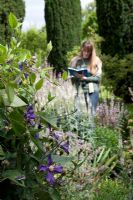 Woman making notes whilst visiting garden - blue Clematis in foreground
