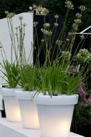 Illuminated white containers with ornamental grasses 
