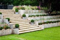 Sandstone steps with Buxus - Box topiary in containers. Terraced beds with wooden retaining walls of Stipa tenuissima, Cosmos, Carex, Euonymus fortunei
