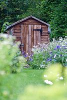 Garden shed surrounded by wildflowers