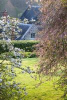 View of Northcourt House in Spring, through Prunus subhirtella and Magnolia stellata