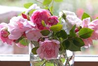 Garden Roses in a vase including Rosa 'Albertine' 