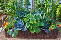 Vegetables including Cabbage, Sweetcorn, Courgette, Onions and Tropaeolum - Nasturtium planted in a woven willow container - 'The Burgon and Ball 5 a day Garden' - RHS Hampton Court Flower Show 2011