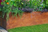 A corten steel container planted with herbs, fruit trees and perennials including Rosmarinus, Sedum, Nepeta and Malus 