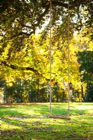 Swing in tree - Hole Park garden, Kent
