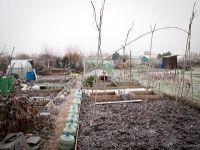 Frosty allotment in mid winter