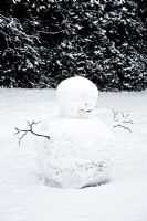Snowman in winter garden 