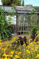 Greenhouse in vegetable garden in late summer