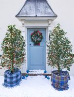 Front door in snow with wreath and Ilex aquilfoliium 'Siberia'  in tartan wrapped pots -  Highfield hollies, Hampshire