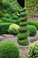 Small topiary garden with Buxus - Box central spiral, Buxus sempervirens and Buxus sempervirens variegata balls in gravel and brick - Pine House
