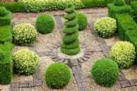 Small topiary garden with Buxus - Box central spiral, Buxus sempervirens and Buxus sempervirens variegata balls set in gravel and brick - Pine House