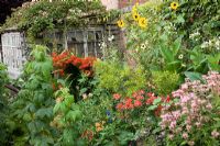 Cutting garden with old shed, Raspberries, Rhubarb,  Crocosmia, Sunflowers, Alchemilla, Nicotiana, Alstromeria - Pine House