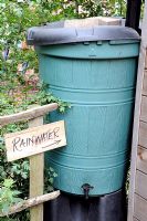 Wooden sign with rainwater written on it pointing to green water butt used for recycling rain water from the shed roof