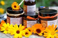 Picked Calendula flowers and jars of ointments