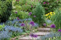 Myosotis and Alliums - The Dorothy Clive Garden