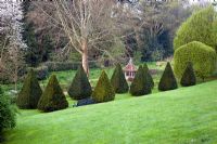 Sloping lawn with yew pyramid topiary and summerhouse - The Old Rectory, Netherbury, Dorset NGS