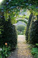 View through arch with Clematis macropetala and topiary lined path - The Old Rectory, Netherbury, Dorset NGS
