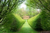Formal allee with beech hedging - The Old Rectory, Netherbury, Dorset NGS