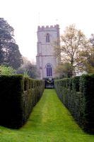 Cassellated hedge leading to church tower - The Old Rectory, Netherbury, Dorset NGS