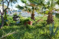 Mediterannean meadow with Palm trees, reused furniture and containers.