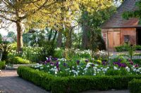 Recently designed garden fits together with the ancient structures as trees and the brick stone barn in the background. Planting includes - Amelanchier, Tulipa 'Angélique', Tulipa 'Negrita' and Tulipa viridiflora 'Spring Green' - Jens Tippel