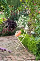 Chair with Curcurbita - Squash 'Turks Turban' in cutting garden - Ulting Wick, Essex