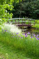 Monet style bridge with Iris  'Gypsy Beauty' naturalised in grass - Wickets, NGS Essex