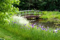 Monet style bridge with Iris 'Gypsy Beauty' naturalised in grass - Wickets, NGS Essex