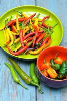 Capsicum - Chilli peppers