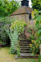 Rosa 'Goldfinch', Onopordum acanthium, Buddleja alternifolia and  Centranthus ruber growing by stone steps. Loseley Park, Surrey.