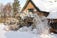 Snow covered thatched and brick cottage, border includes Spiraea, Potentilla and the grass Miscanthus sinensis 'Silberfeder.' Rosa 'Madame Alfred Carriere' growing on the cottage. Trees in the distance include Betula - Silver Birch. Gowan Cottage