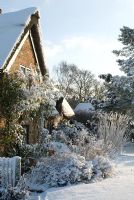 Snow covered thatched and brick cottage, border includes Spiraea, Potentilla and the grass Miscanthus sinensis 'Silberfeder.' Rosa 'Madame Alfred Carriere' growing on the cottage. Gowan Cottage