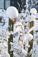 Snow covered organic vegetable garden with wooden and wire supports for Rubus loganobaccus - Loganberry and terracotta pots on wooden posts. Gowan Cottage