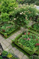 Elevated view of formal town garden with Rosa 'Meg' growing on arches over front path. Dianthus - Sweet williams and  Digitalis - Foxgloves planted in Box edged beds - Rhadegund House, New Square, Cambridge.