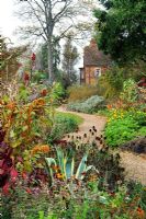 Serpentine gravel path with sub tropical beds in autumn. Agave, Salvias, Amaranthus, Cordylines, Rudbeckias, Ricinus, Pelargoniums and Argyranthemums - Selwyn College, Cambridge