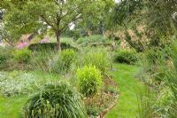 Grass pathways and beds of Stipa gigantea, Molinia arundinacea, Chasmanthium latifolium and Prunus domestica 'Opal' - Ruinerwold Garden